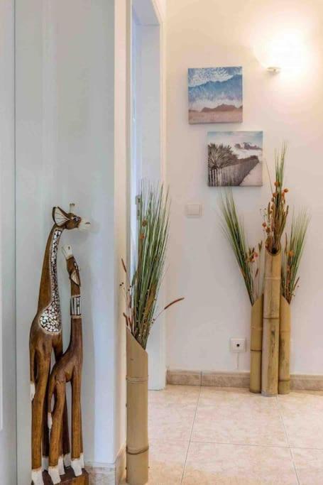 Apartament Terracos Do Vau 108 Portimão Zewnętrze zdjęcie